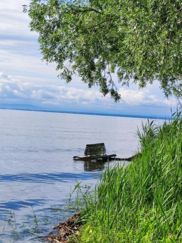 a bench sitting in the middle of a body of water at Little Tiny Village Haus 1 in Fußach