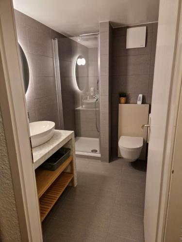 a bathroom with a sink and a toilet at Studio SIEVA in Lausanne