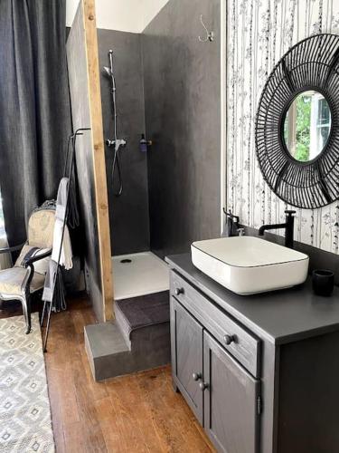 une salle de bain avec un lavabo et un miroir dans l'établissement La Demeure de Marcy, à La Ferté-sous-Jouarre