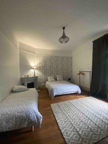 une chambre avec deux lits et un tapis dans l'établissement La Demeure de Marcy, à La Ferté-sous-Jouarre