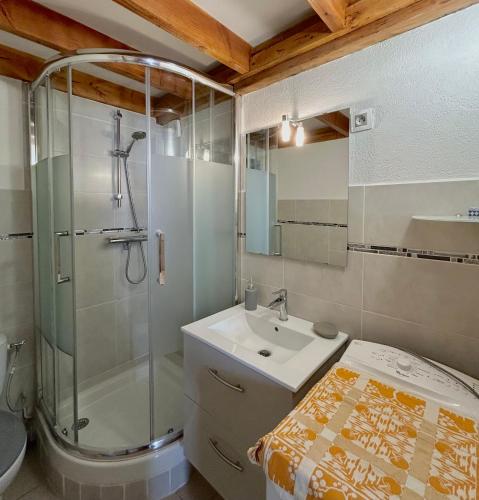 une salle de bain avec un lavabo et une douche dans l'établissement Bel appartement 4 ou 5 pers 150 m de la plage 5CL64, au Barcarès