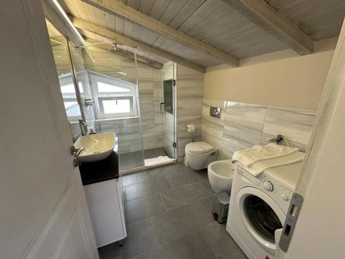 a bathroom with a toilet sink and a washing machine at Evergreen Laguna Vain-Lezhe in Lezhë