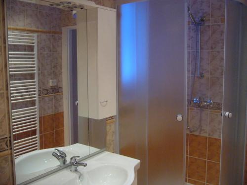ein Bad mit einem Waschbecken und einer Dusche in der Unterkunft Apartment EM in Harrachov