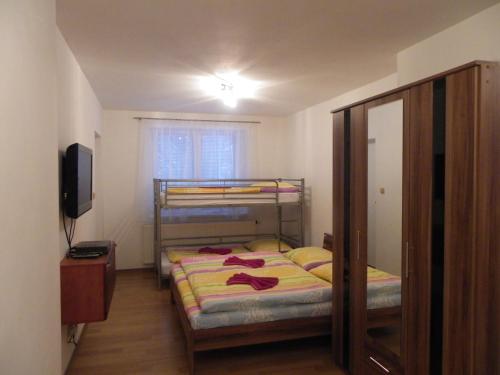 1 Schlafzimmer mit 2 Etagenbetten und einem TV in der Unterkunft Apartment EM in Harrachov