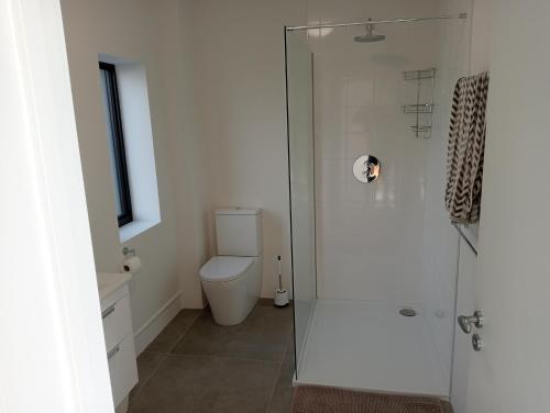 ห้องน้ำของ The Slow House Apartments, Llandefalle