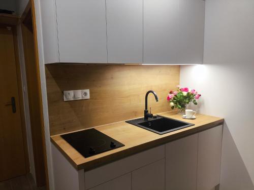 a kitchen with a sink and a counter top at Apartman Ema in Donovaly