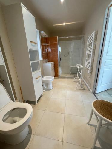 un baño con inodoro y ducha en La Canuche Appartement avec jardin, en Pleine-Sève