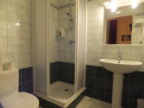 a bathroom with a shower and a toilet and a sink at Hostellerie La Boheme in Roppenheim