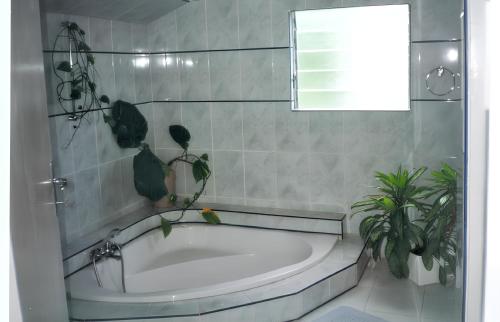 La salle de bains est pourvue d'une baignoire avec des plantes et d'une fenêtre. dans l'établissement Studio avec piscine partagee terrasse amenagee et wifi a Saint Joseph a 6 km de la plage, à Saint-Joseph