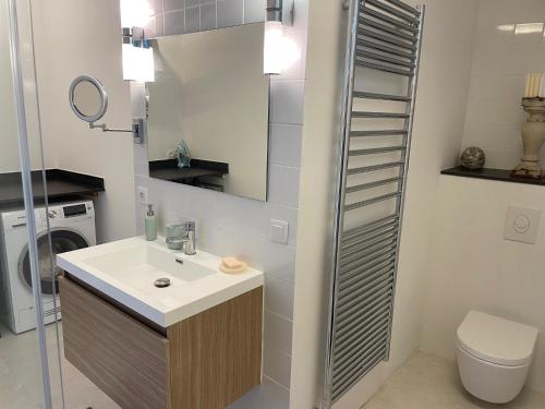 une salle de bain avec un lavabo et des toilettes dans l'établissement Romantic cottage for couples, à Vence