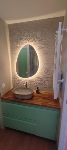 une salle de bain avec un lavabo et un miroir sur un comptoir dans l'établissement 