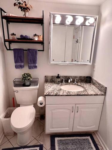 a bathroom with a toilet and a sink and a mirror at Spacious Retreat Close to Nature in Bloomingdale