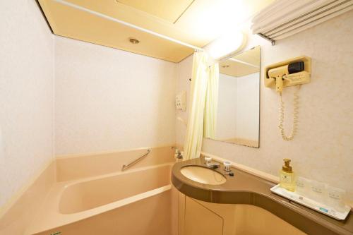 a bathroom with a sink and a tub and a mirror at Ageo Tobu Hotel in Ageo