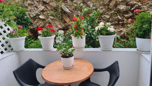 a table and chairs with potted plants on a balcony at Luxury Room's by Lika in Sarandë