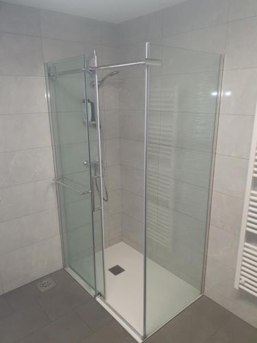 a shower with a glass door in a bathroom at Sanja apartment near to Ljubljana in Preserje pri Radomljah