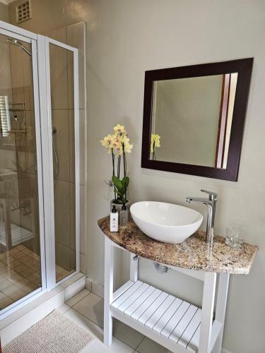 a bathroom with a sink and a shower at 113 on Robberg in Plettenberg Bay