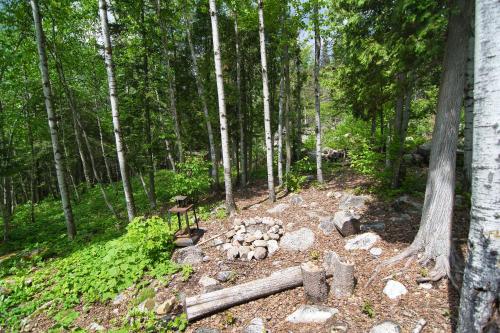 a fire pit in the middle of a forest at Centre de Vacances 5 Étoiles Family Resort in Sacré-Coeur-Saguenay