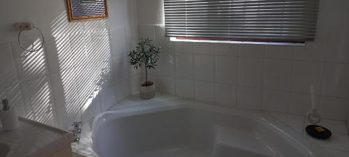 uma banheira branca com um vaso de plantas na casa de banho em 19 on Robyn em Durbanville