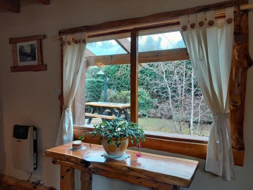 a window with a potted plant on a wooden table at Tierras del Sur II in Villa La Angostura