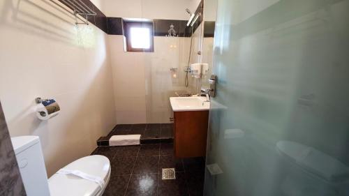 een badkamer met een toilet en een wastafel bij Steaua Apelor Family Resort in Nufăru
