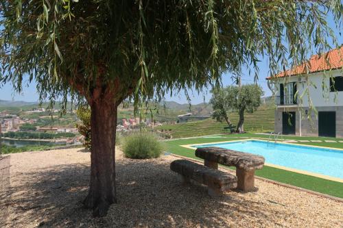 a bench sitting next to a tree next to a pool at Casa Da Formiga in Juncal de Cima