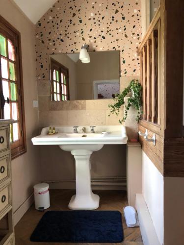 La salle de bains est pourvue d'un lavabo et d'un miroir. dans l'établissement Villa Maurice, à Cabourg