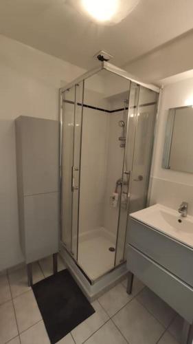 une salle de bain avec douche et lavabo dans l'établissement Roscoff 2 pièces classé 2 étoiles et terrasse centre historique, à Roscoff