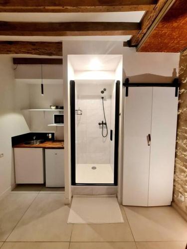 La salle de bains est pourvue d'une douche en verre. dans l'établissement Studio de charme, à Fontenay-aux-Roses