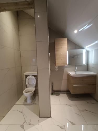 une salle de bain avec toilettes et lavabo dans l'établissement Les terrasses de la loue au domaine de Tara, à LʼHôpital-du-Grosbois