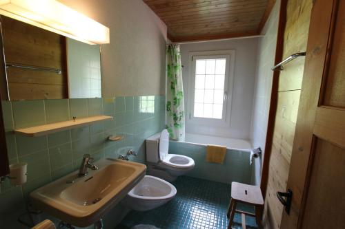 ein Badezimmer mit einem Waschbecken, einem WC und einem Spiegel in der Unterkunft Arnica 2 in Chateau-d'Oex