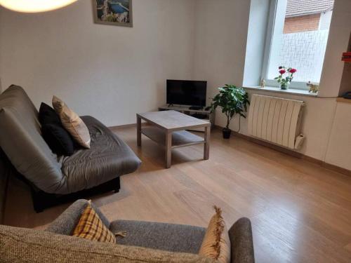 un salon avec un canapé et une table dans l'établissement Le ruisseau du Bâmont - Quiet Area, Near Trails, à Saulxures-sur-Moselotte