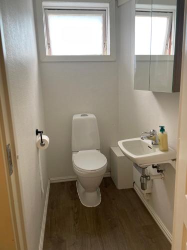 a white bathroom with a toilet and a sink at Slinningen Apartment with free parking in Ålesund