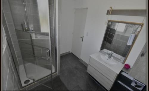 une salle de bain avec une douche, un lavabo et un miroir dans l'établissement Rénial40, à Angresse