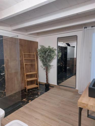 a room with a mirror and a potted plant at Dimora Apulia 5 in Gallipoli