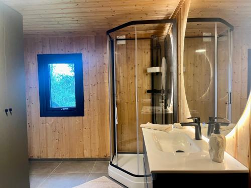 W łazience znajduje się umywalka i przeszklony prysznic. w obiekcie Cosy and Quiet Cabin with Sauna close to Hemsedal w mieście Lykkja