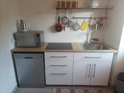 une petite cuisine avec un évier et un micro-ondes dans l'établissement La maison au bord de l'eau, à Graçay