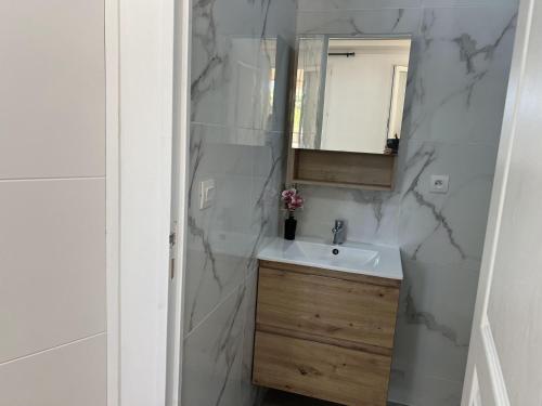 une salle de bain avec un lavabo et un miroir dans l'établissement Villa Prestige Soleil & 2 plage, à Nice