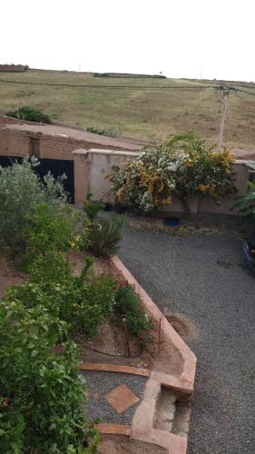 タハナウトにあるRiad maison berbèreの地面に植物や花が植えられた庭