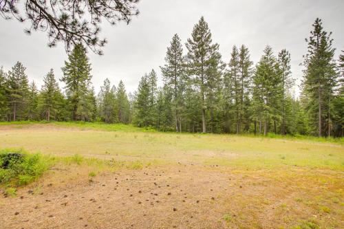 an open field with trees in the background at 10 Mi to Silverwood Secluded Getaway! in Spirit Lake