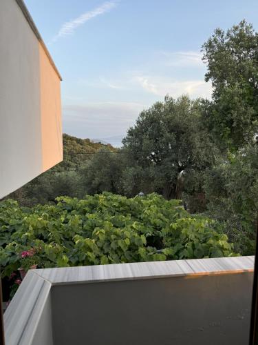Fotografie z fotogalerie ubytování Adrian Agustin Rooms v destinaci Lukovë