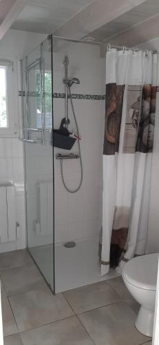 une salle de bain avec une douche en verre et des toilettes dans l'établissement studio maisonnette, à Vaux-sur-Mer