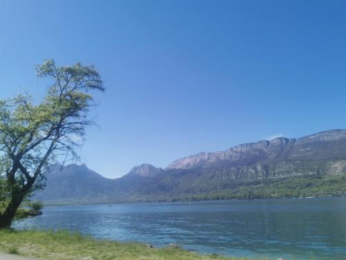 a view of a lake with mountains in the background at Charmant appartement à 1 minute du lac in Annecy