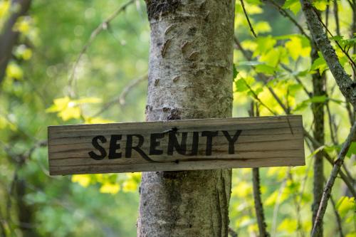 a sign on the side of a tree with the word eternity at Mountain Springs Nature Retreat in Kaleden
