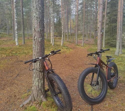 two bikes parked next to a tree in the woods at Pytkyn Kämppä in Syöte