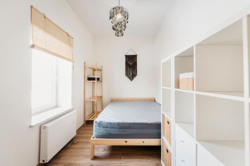 un dormitorio con una cama y una ventana en Nocosfera Apartament Centrum, en Kalisz