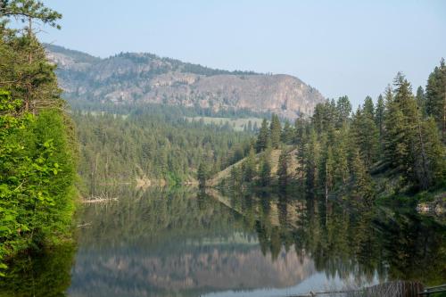 a view of a river with trees and a mountain at Mountain Springs Nature Retreat in Kaleden