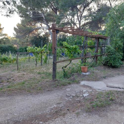 a wooden fence with plants in a garden at Naturetmer4 in Six-Fours-les-Plages