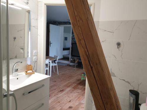 a bathroom with a sink and a mirror at L 'appartement du Rocher in Château-du-Loir