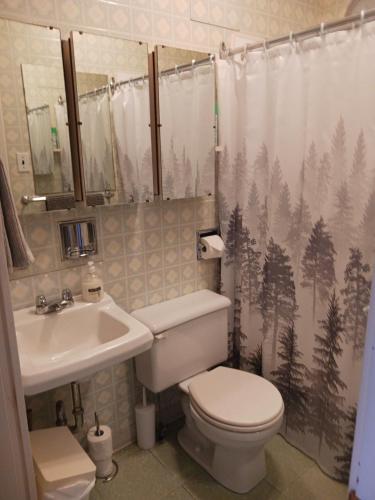 a bathroom with a toilet and a sink and a shower curtain at La Maison Vaillancourt in Saint-Laurent-de-l'ile d'Orleans