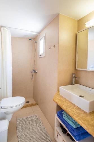 a bathroom with a sink and a toilet at Mimis & Connie 2 in Karpathos Town